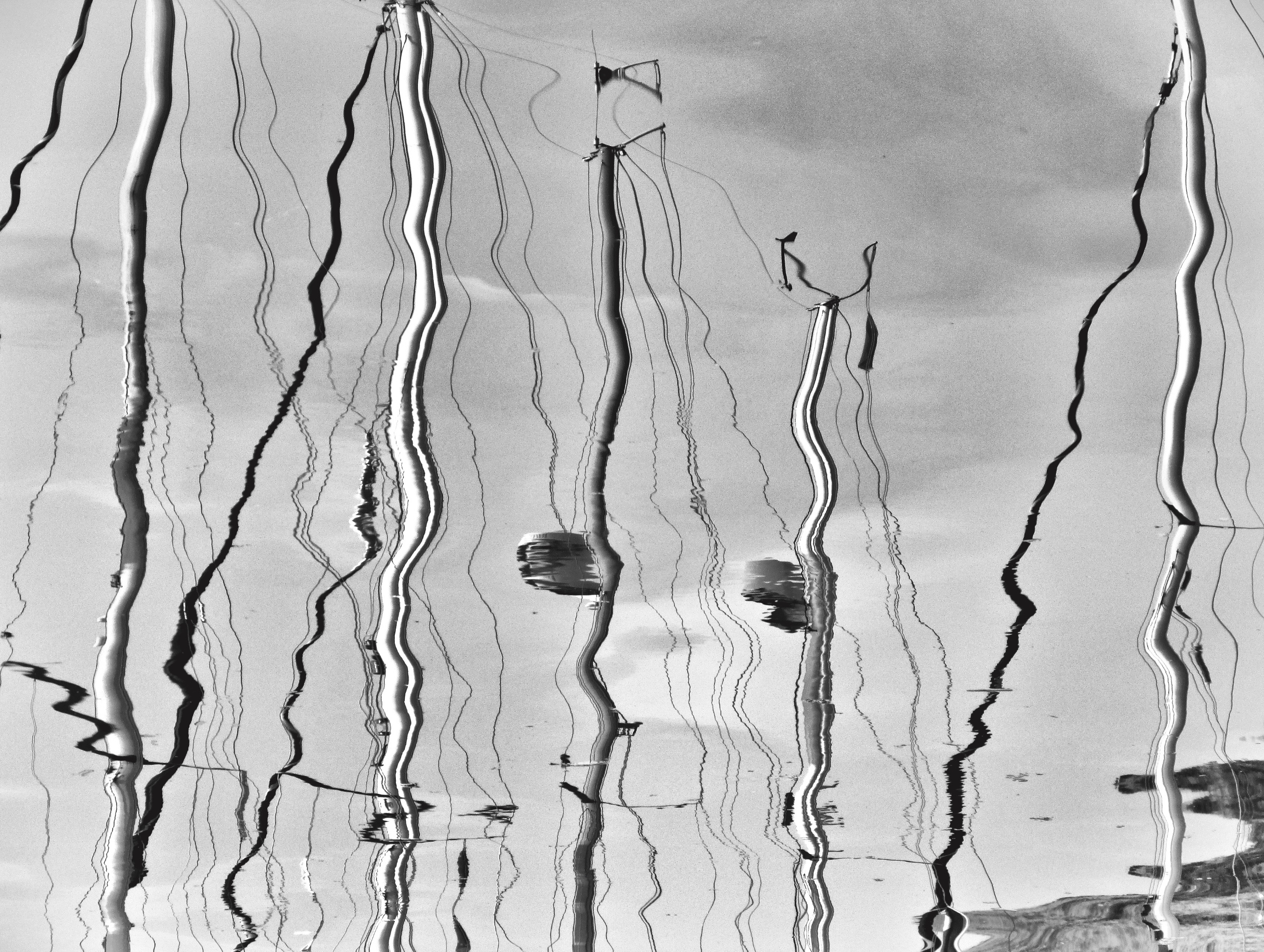 Scatto 1